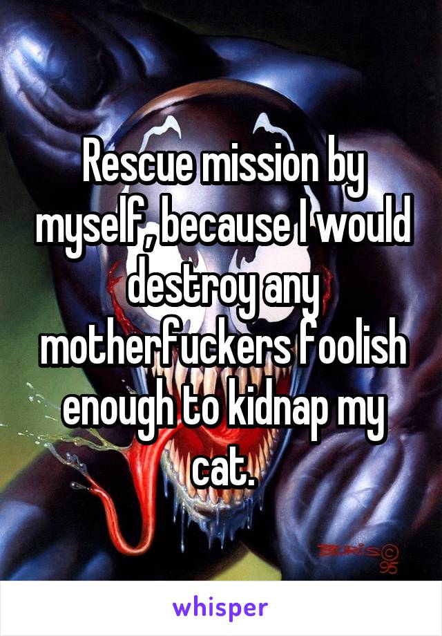 Rescue mission by myself, because I would destroy any motherfuckers foolish enough to kidnap my cat.