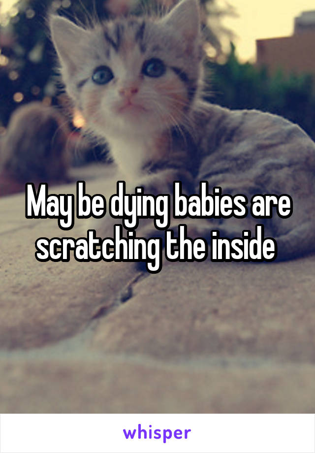 May be dying babies are scratching the inside 