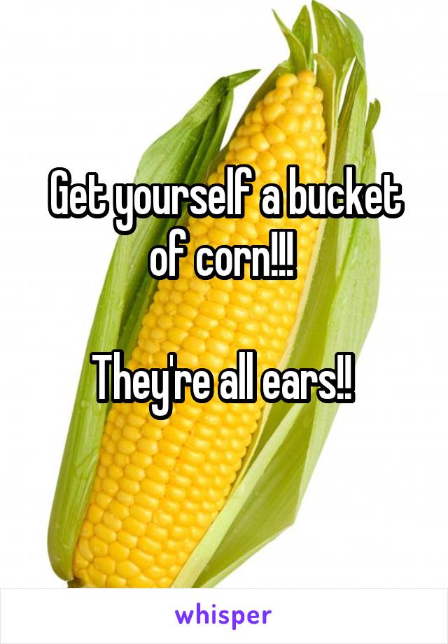 Get yourself a bucket of corn!!! 

They're all ears!! 
