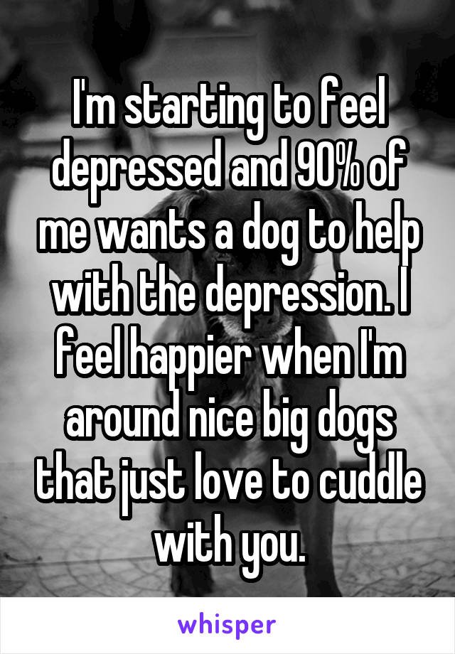 I'm starting to feel depressed and 90% of me wants a dog to help with the depression. I feel happier when I'm around nice big dogs that just love to cuddle with you.