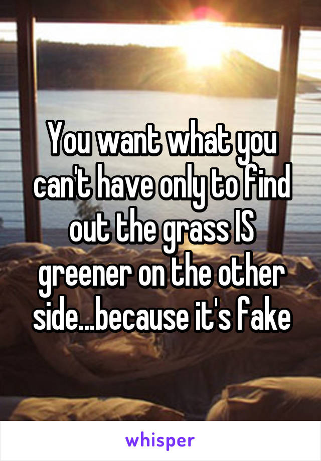 You want what you can't have only to find out the grass IS greener on the other side...because it's fake