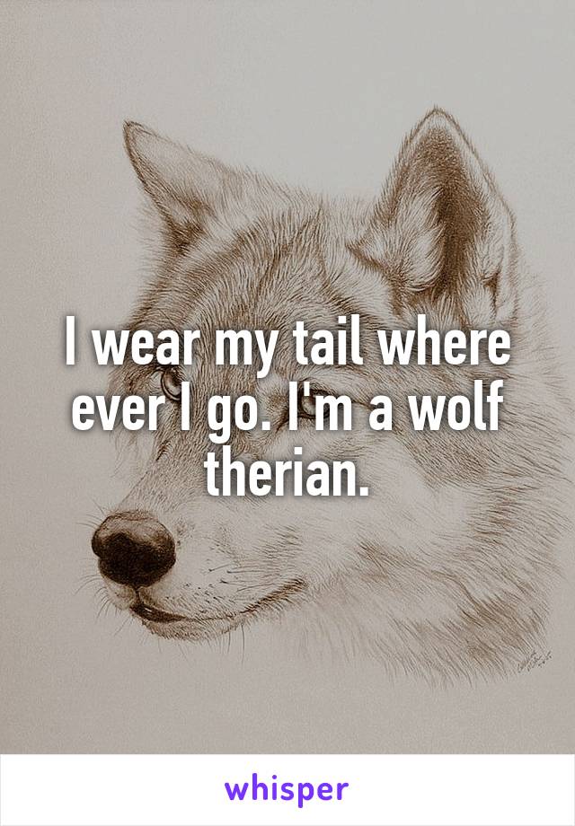 I wear my tail where ever I go. I'm a wolf therian.