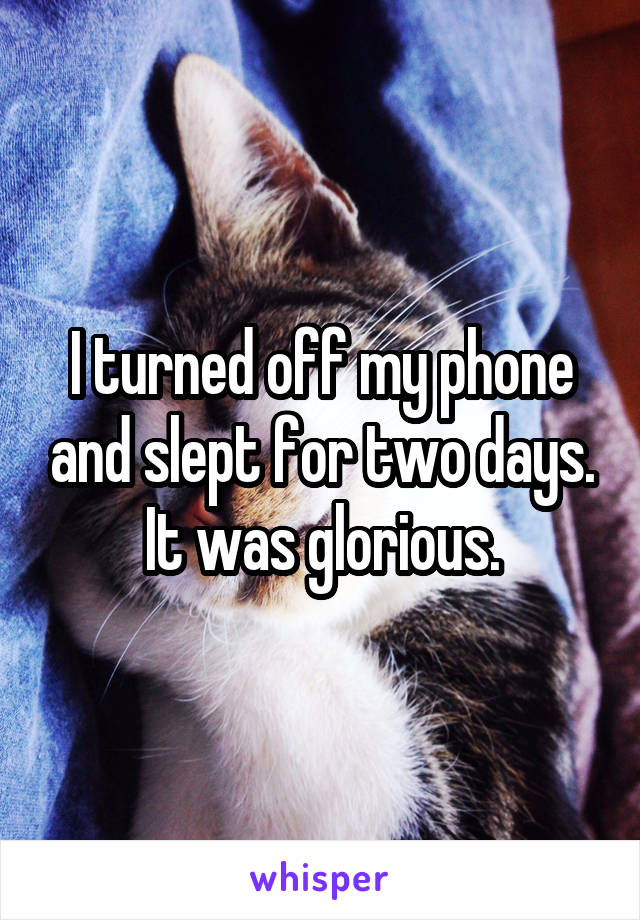 I turned off my phone and slept for two days. It was glorious.