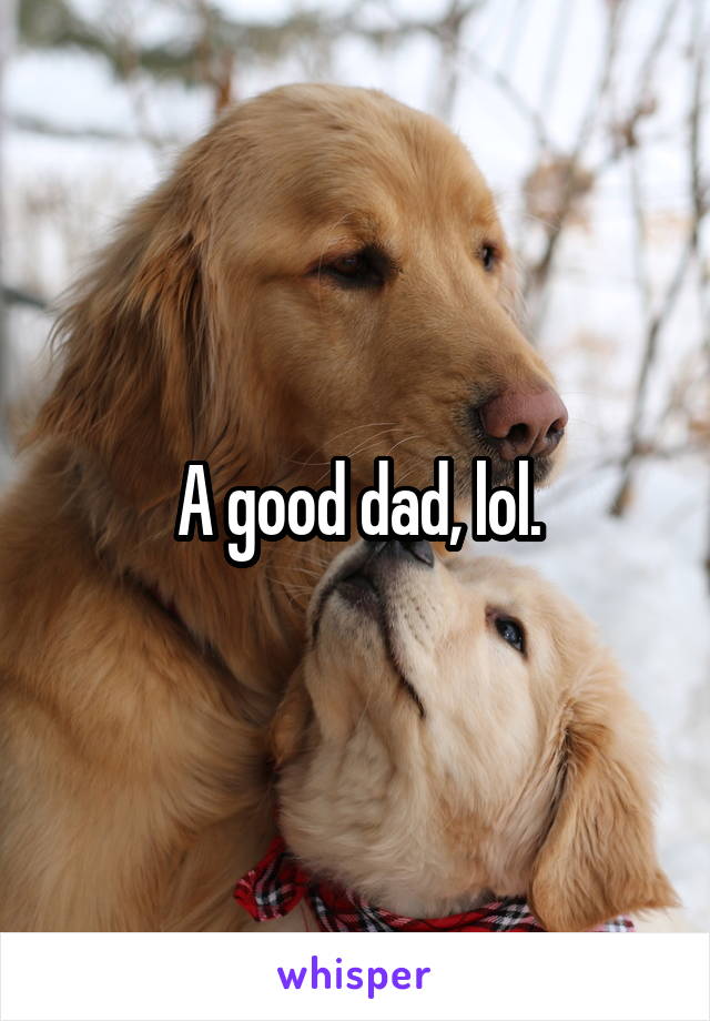 A good dad, lol.