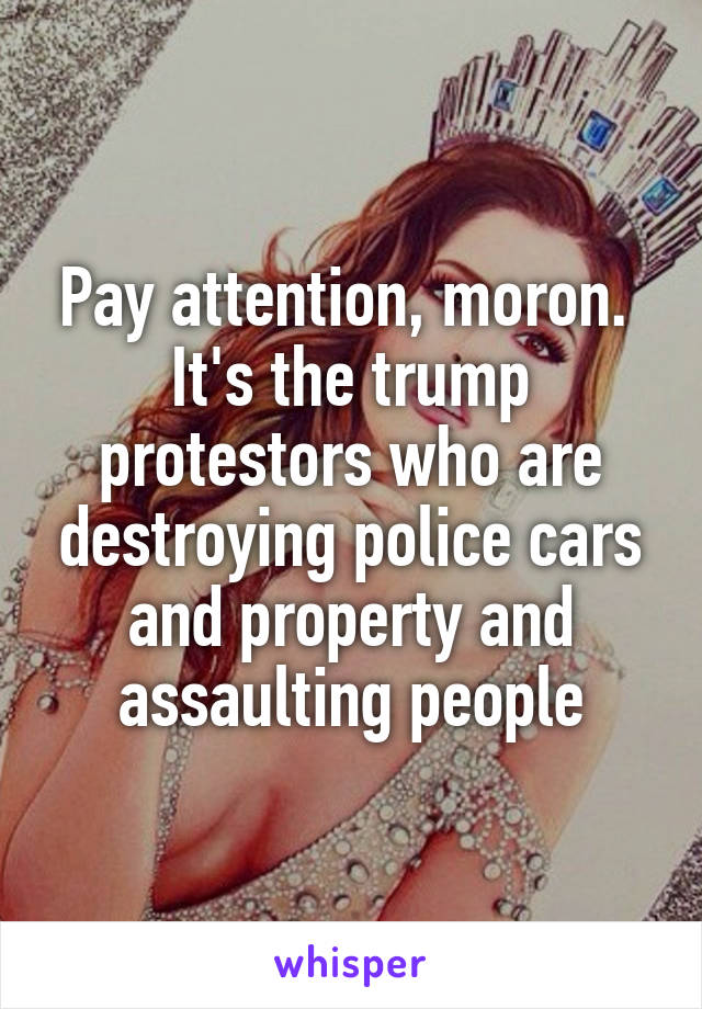 Pay attention, moron.  It's the trump protestors who are destroying police cars and property and assaulting people