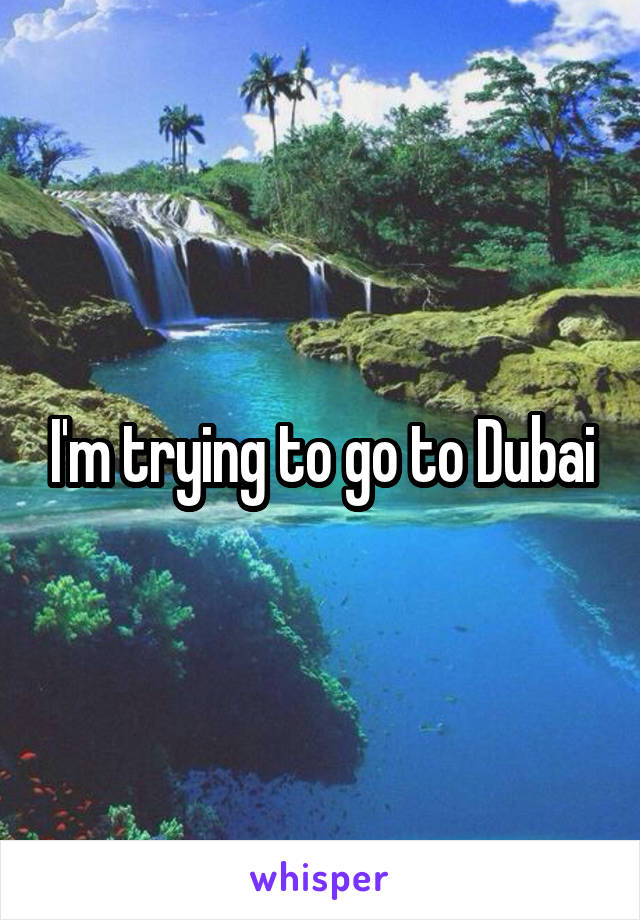 I'm trying to go to Dubai