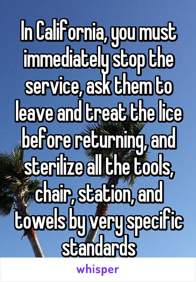 In California, you must immediately stop the service, ask them to leave and treat the lice before returning, and sterilize all the tools, chair, station, and towels by very specific standards