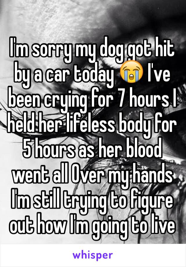 I'm sorry my dog got hit by a car today 😭 I've been crying for 7 hours I held her lifeless body for 5 hours as her blood went all Over my hands I'm still trying to figure out how I'm going to live  