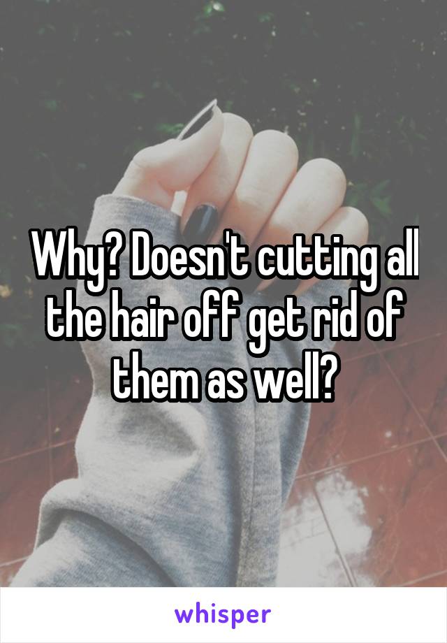 Why? Doesn't cutting all the hair off get rid of them as well?