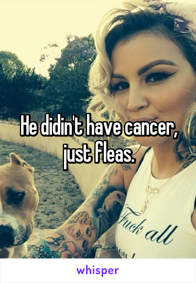 He didin't have cancer, just fleas.