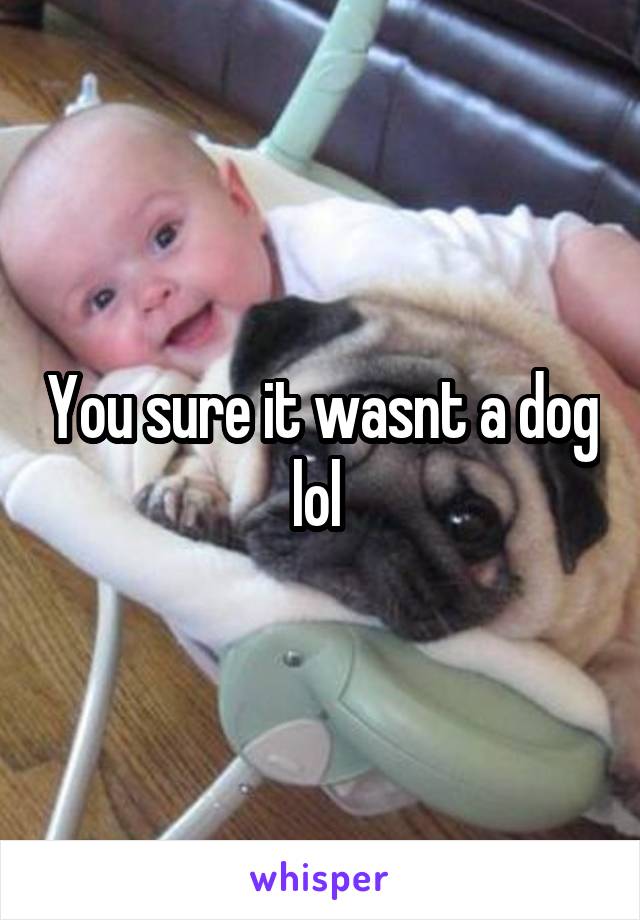 You sure it wasnt a dog lol 