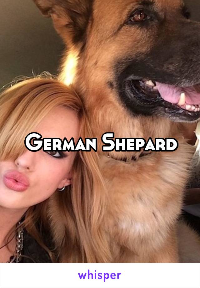 German Shepard