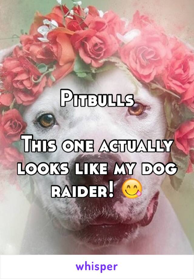 Pitbulls

This one actually looks like my dog raider! 😋