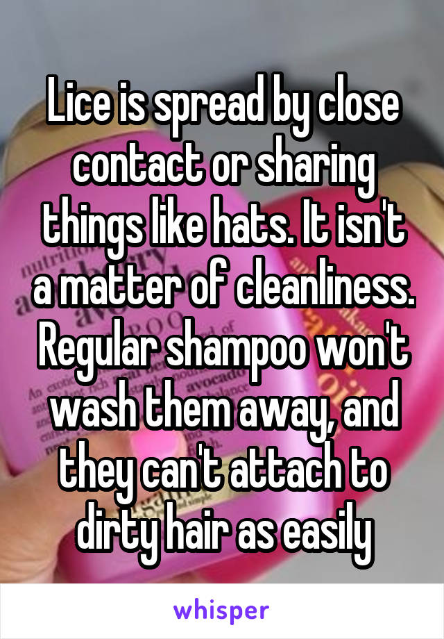 Lice is spread by close contact or sharing things like hats. It isn't a matter of cleanliness. Regular shampoo won't wash them away, and they can't attach to dirty hair as easily