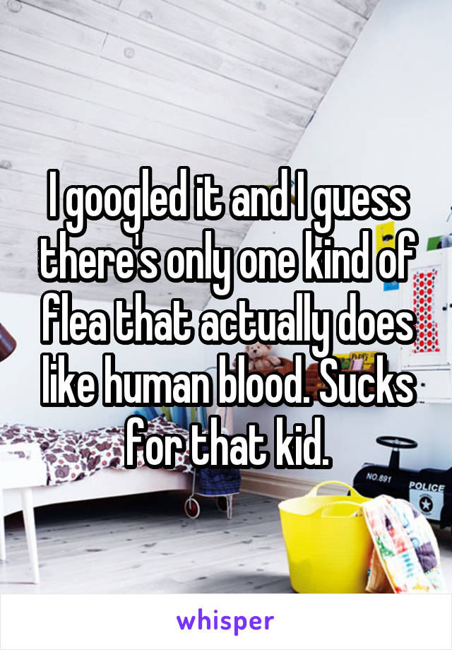 I googled it and I guess there's only one kind of flea that actually does like human blood. Sucks for that kid.