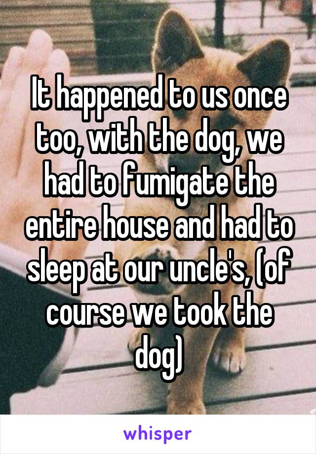 It happened to us once too, with the dog, we had to fumigate the entire house and had to sleep at our uncle's, (of course we took the dog)