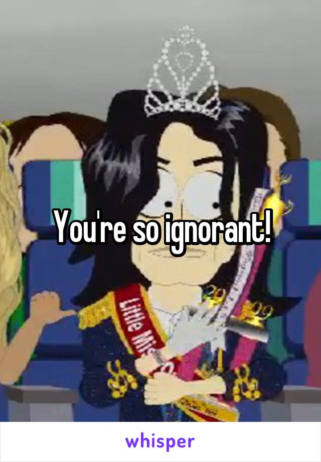 You're so ignorant!