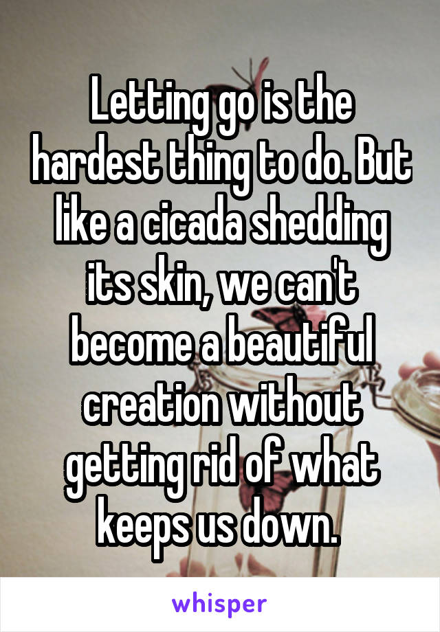 Letting go is the hardest thing to do. But like a cicada shedding its skin, we can't become a beautiful creation without getting rid of what keeps us down. 