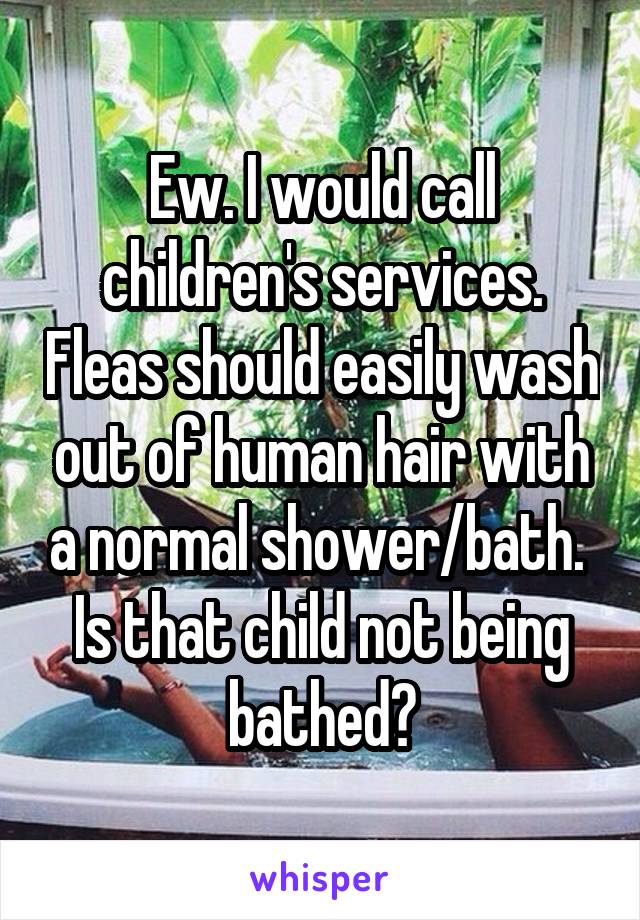 Ew. I would call children's services. Fleas should easily wash out of human hair with a normal shower/bath.  Is that child not being bathed?