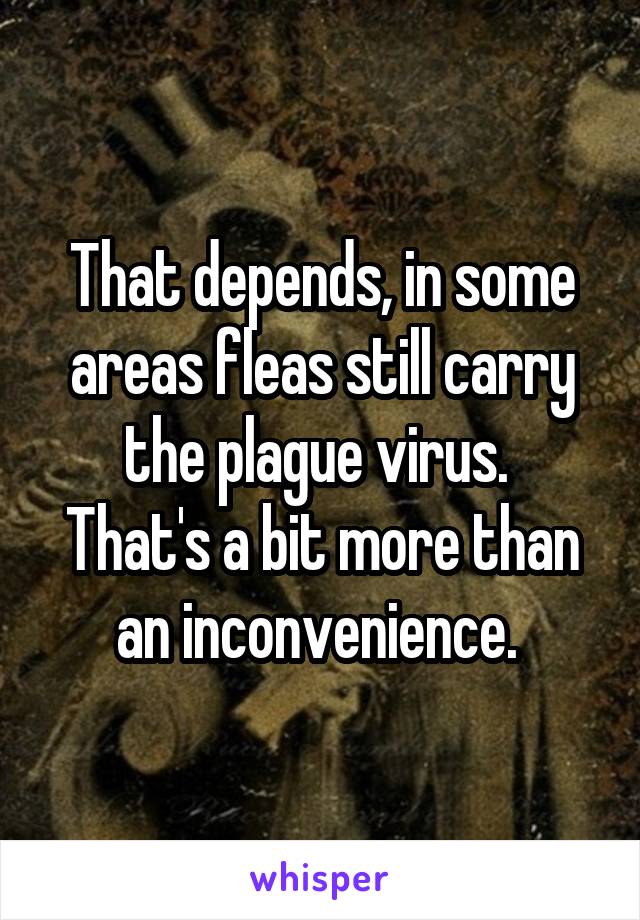 That depends, in some areas fleas still carry the plague virus. 
That's a bit more than an inconvenience. 