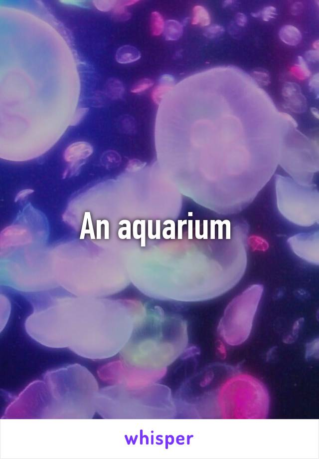 An aquarium 