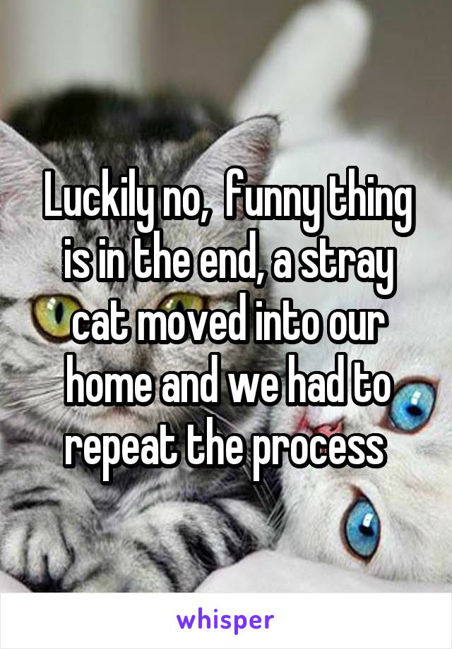 Luckily no,  funny thing is in the end, a stray cat moved into our home and we had to repeat the process 