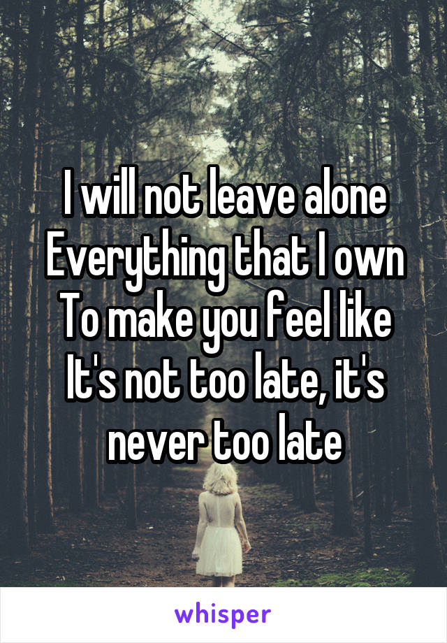I will not leave alone
Everything that I own
To make you feel like
It's not too late, it's never too late