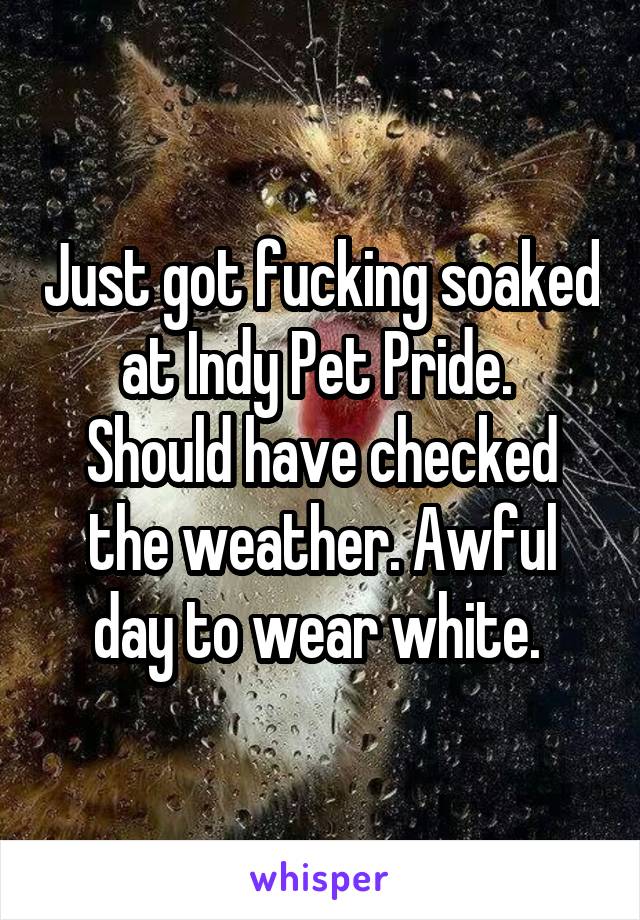 Just got fucking soaked at Indy Pet Pride. 
Should have checked the weather. Awful day to wear white. 