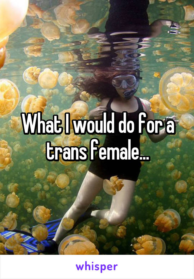 What I would do for a trans female...