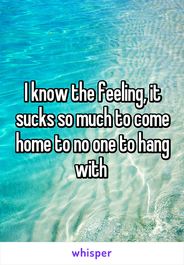 I know the feeling, it sucks so much to come home to no one to hang with 