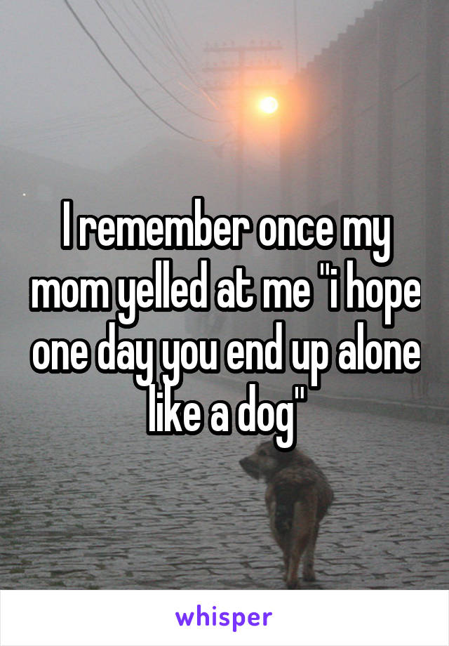 I remember once my mom yelled at me "i hope one day you end up alone like a dog"