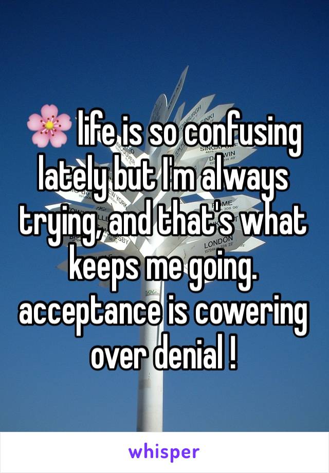 🌸 life is so confusing lately but I'm always trying, and that's what keeps me going. acceptance is cowering over denial ! 