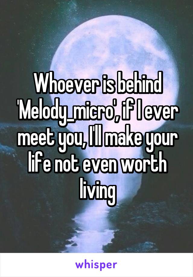 Whoever is behind 'Melody_micro', if I ever meet you, I'll make your life not even worth living