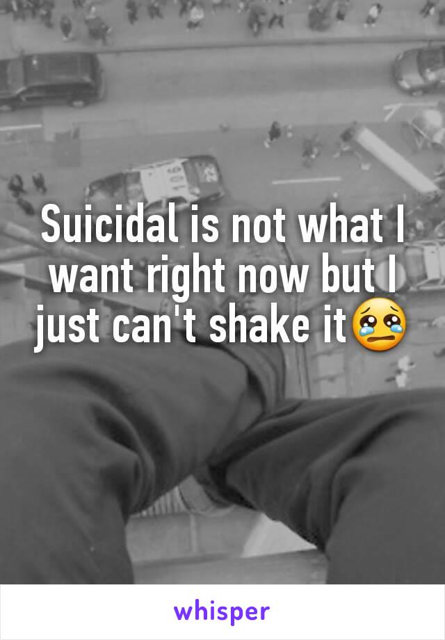 Suicidal is not what I want right now but I just can't shake it😢