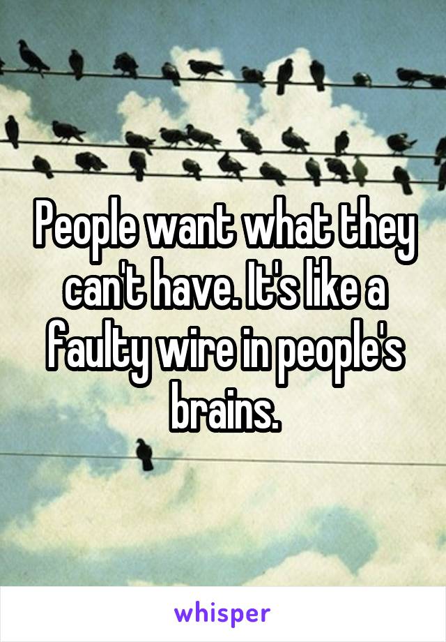 People want what they can't have. It's like a faulty wire in people's brains.