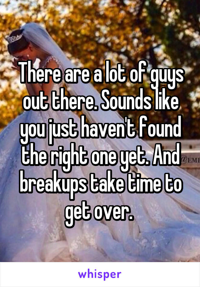 There are a lot of guys out there. Sounds like you just haven't found the right one yet. And breakups take time to get over. 