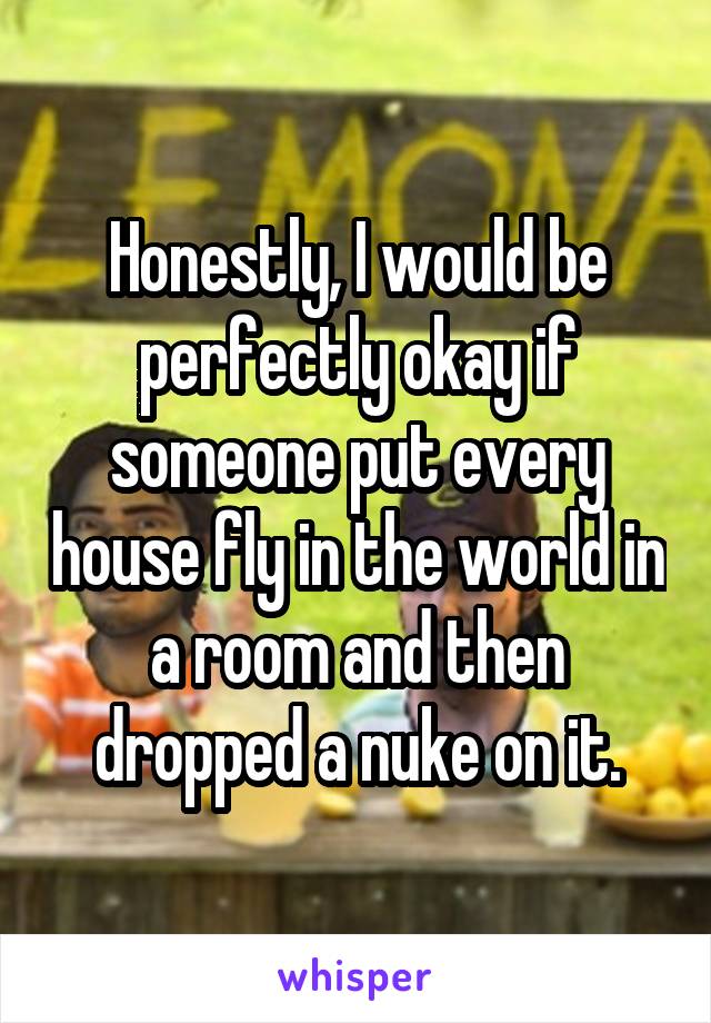 Honestly, I would be perfectly okay if someone put every house fly in the world in a room and then dropped a nuke on it.