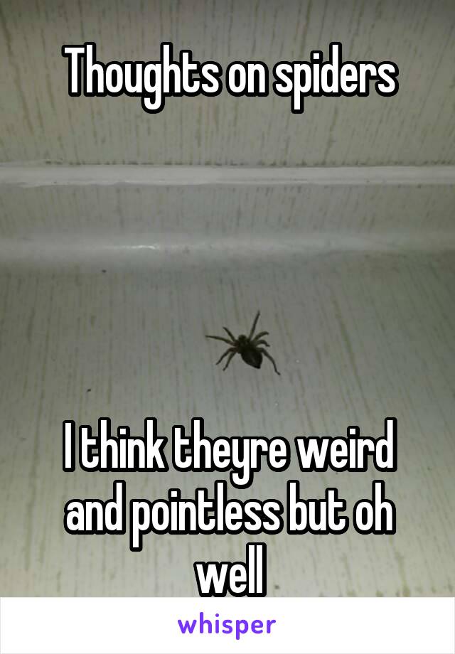 Thoughts on spiders





I think theyre weird and pointless but oh well