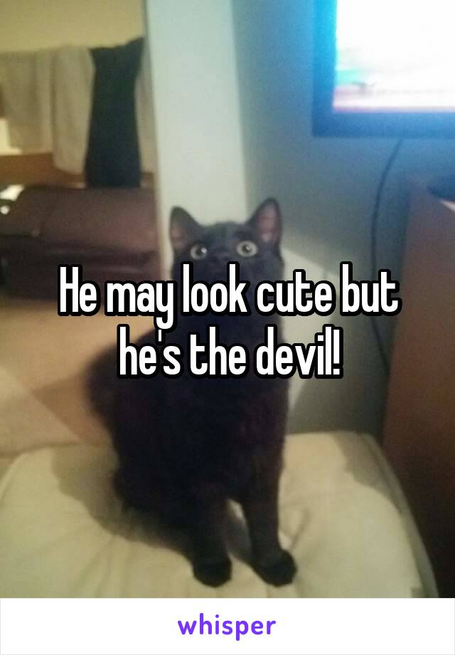 He may look cute but he's the devil!