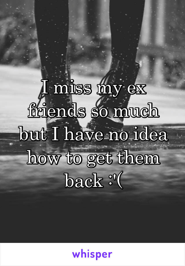 I miss my ex friends so much but I have no idea how to get them back :'(