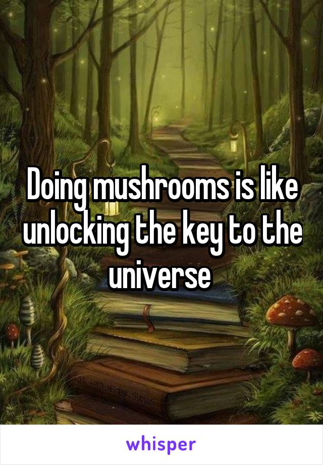 Doing mushrooms is like unlocking the key to the universe 