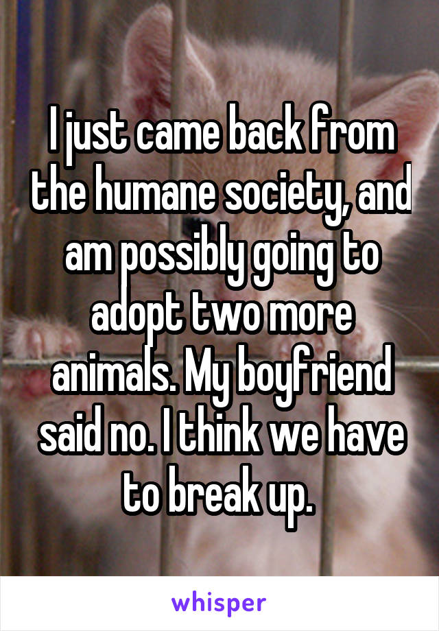 I just came back from the humane society, and am possibly going to adopt two more animals. My boyfriend said no. I think we have to break up. 