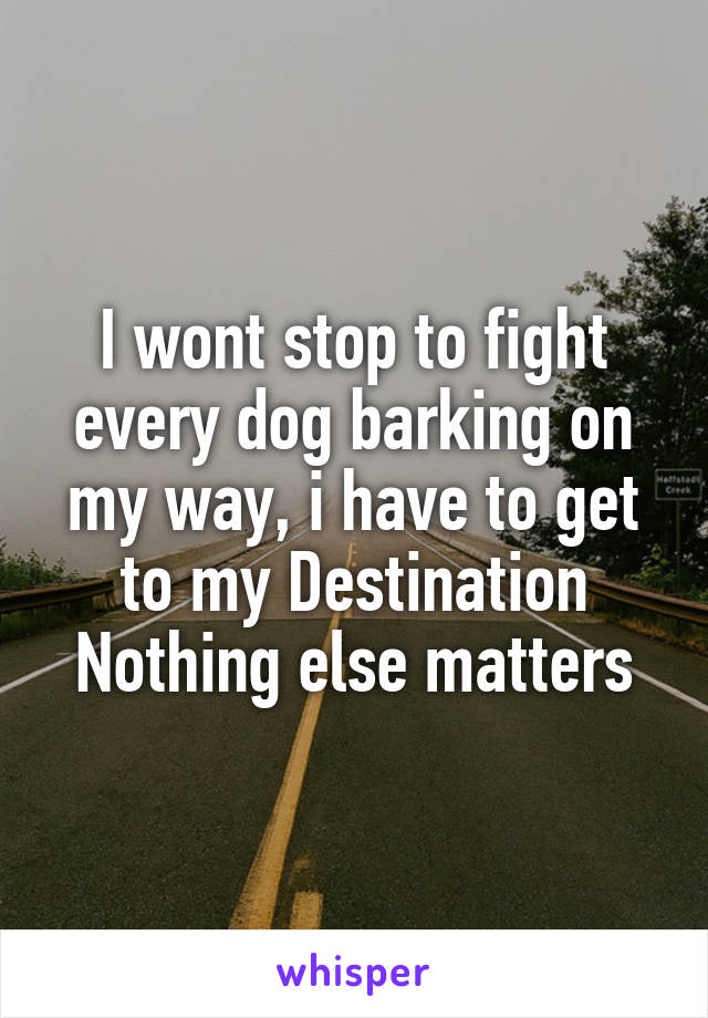 I wont stop to fight every dog barking on my way, i have to get to my Destination
Nothing else matters