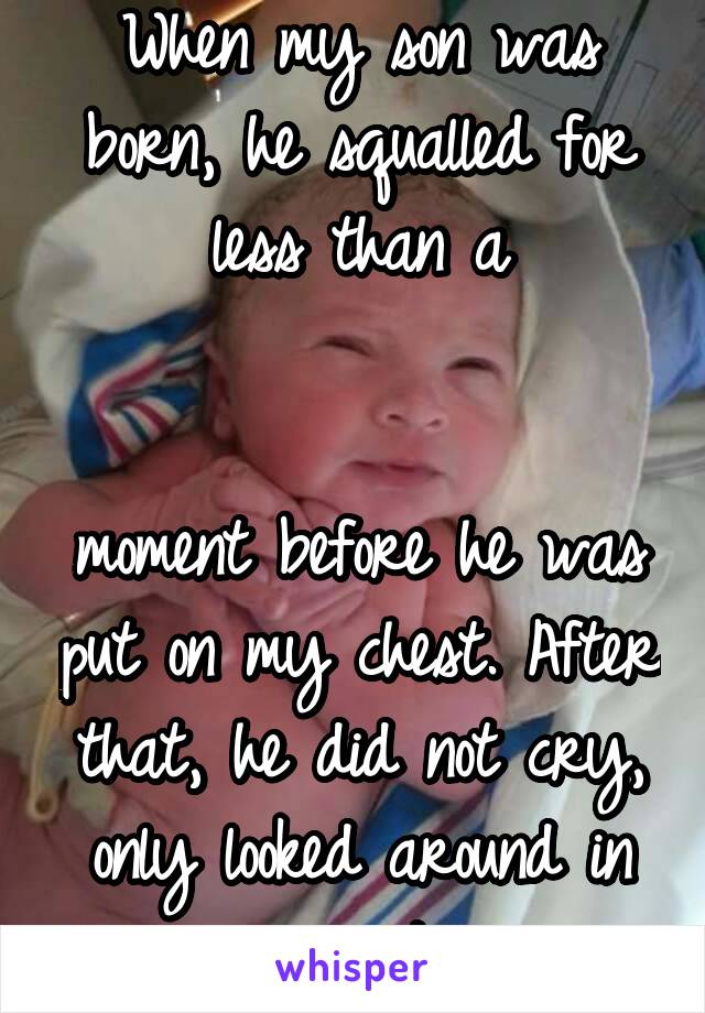 When my son was born, he squalled for less than a


moment before he was put on my chest. After that, he did not cry, only looked around in curiosity.