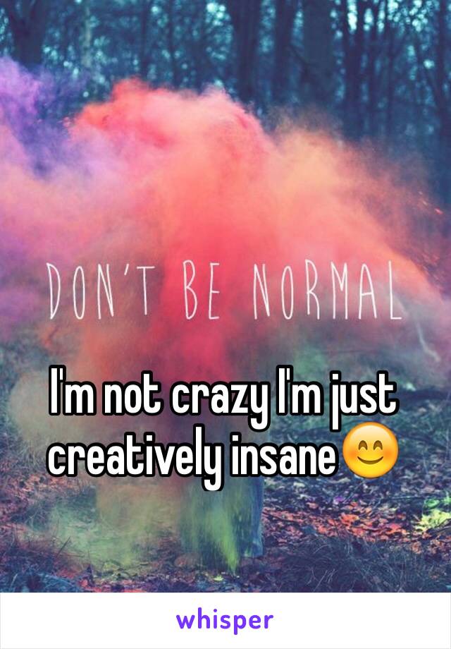 I'm not crazy I'm just creatively insane😊