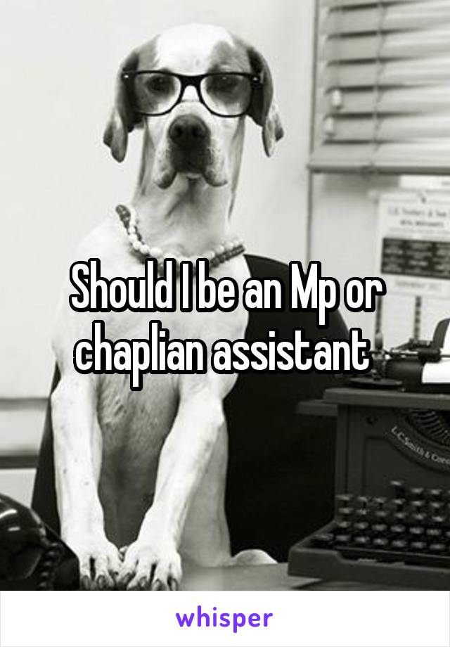 Should I be an Mp or chaplian assistant 