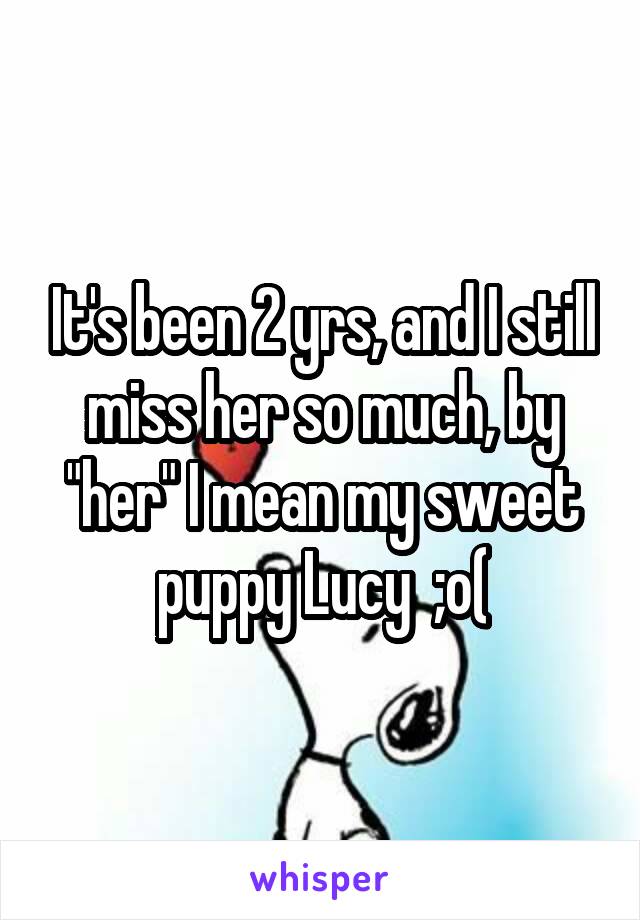 It's been 2 yrs, and I still miss her so much, by "her" I mean my sweet puppy Lucy  ;o(
