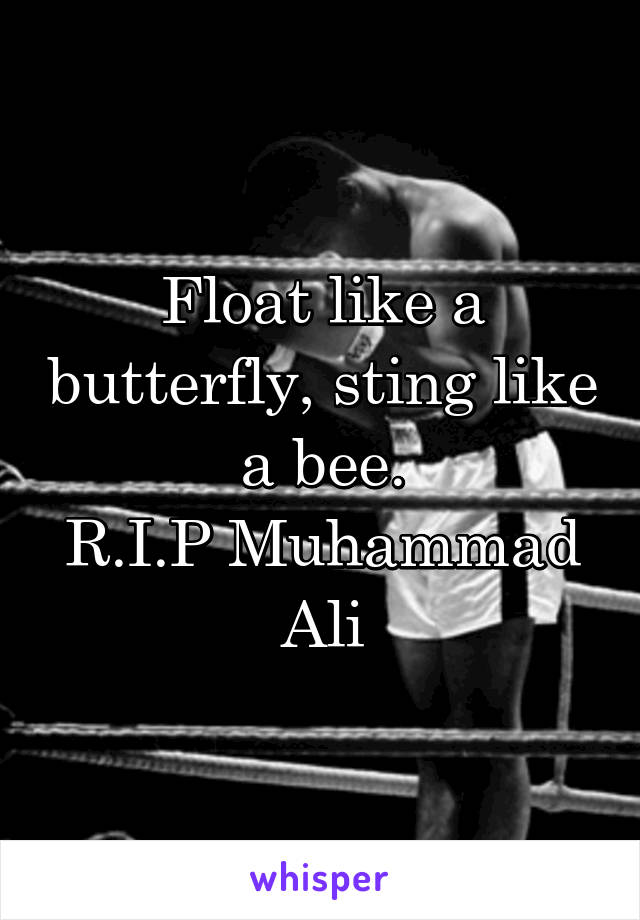 Float like a butterfly, sting like a bee.
R.I.P Muhammad Ali