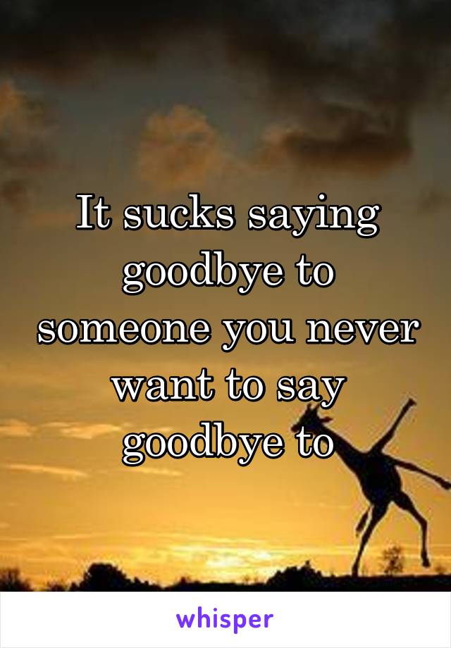 It sucks saying goodbye to someone you never want to say goodbye to