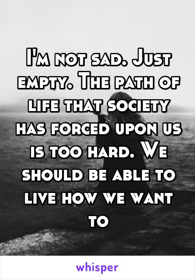 I'm not sad. Just empty. The path of life that society has forced upon us is too hard. We should be able to live how we want to